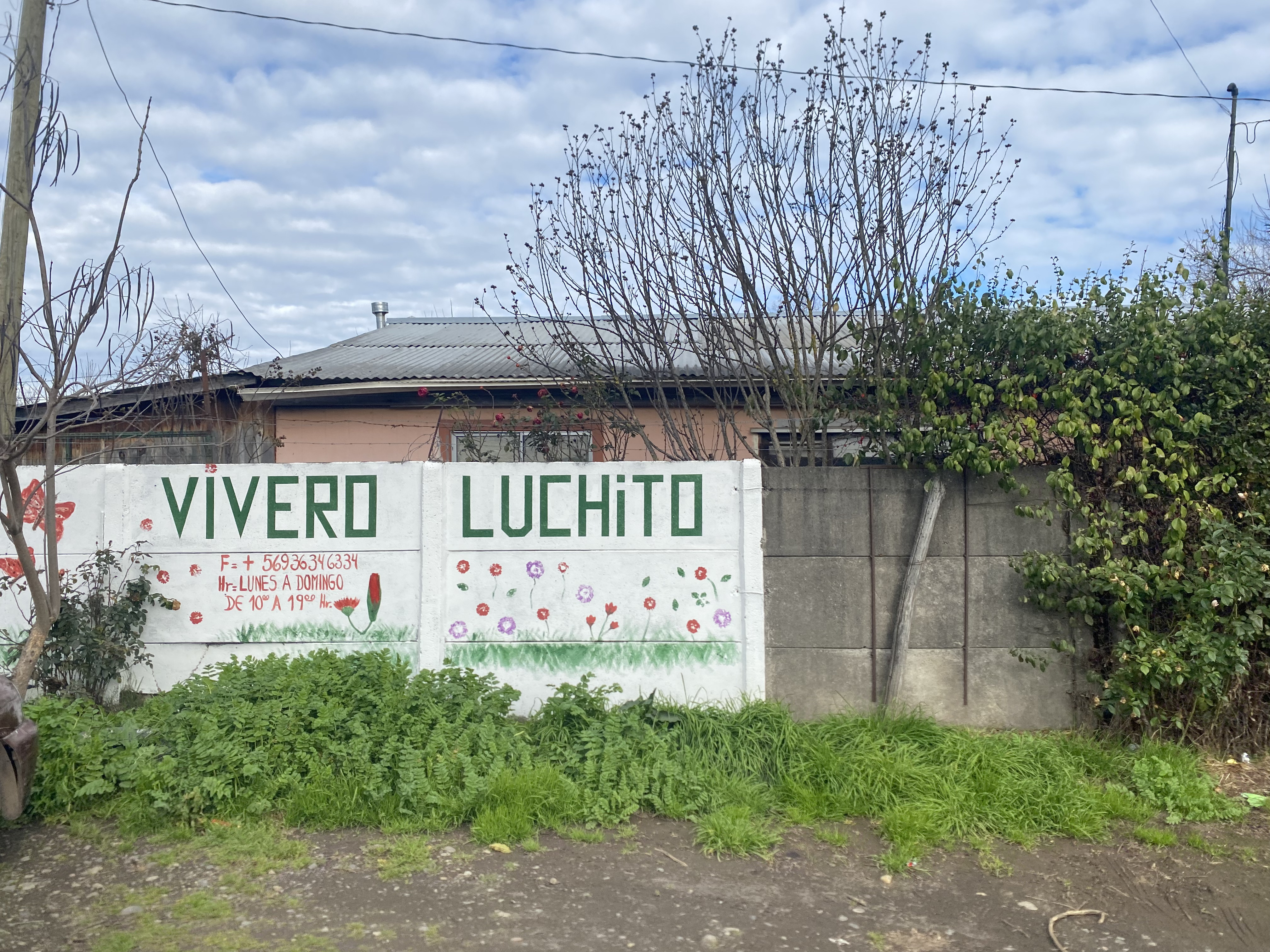 Vivero