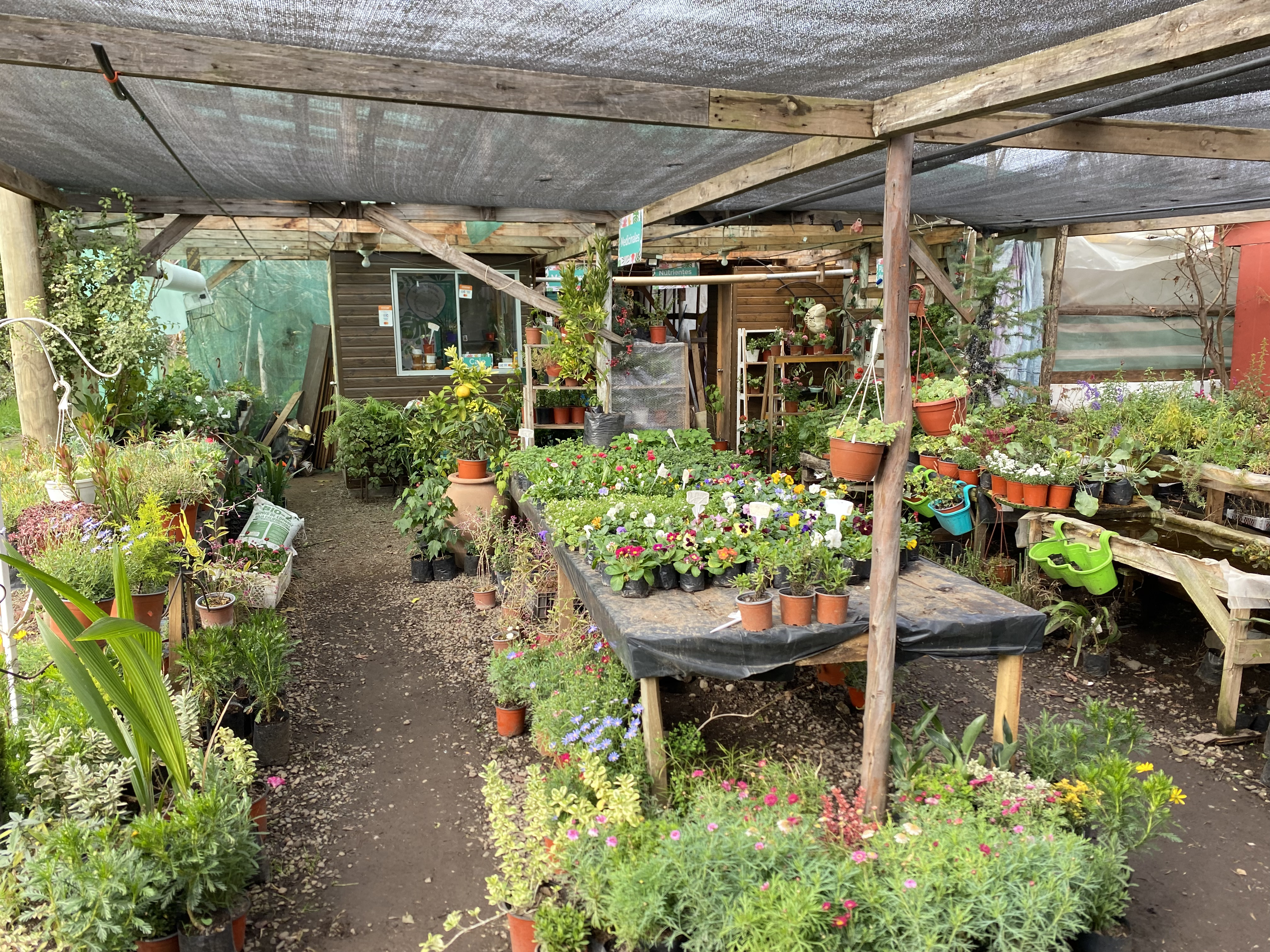 Vivero